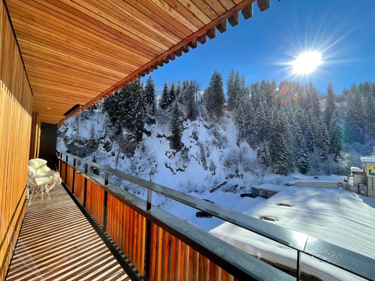 Selva Mountain